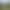 Vue sur un parc avec une lampe à gaz, des arbres et des bâtiments en arrière-plan, dont une cathédrale avec une flèche pointue